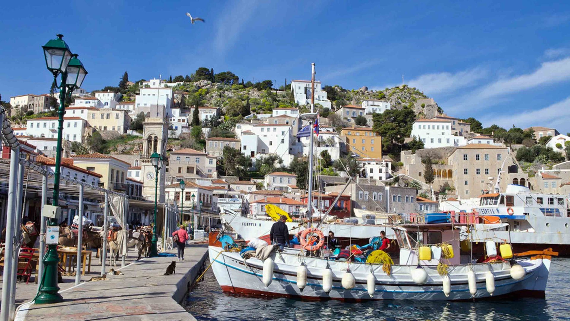 Boats in a harbour, alongside a small village with many white houses.