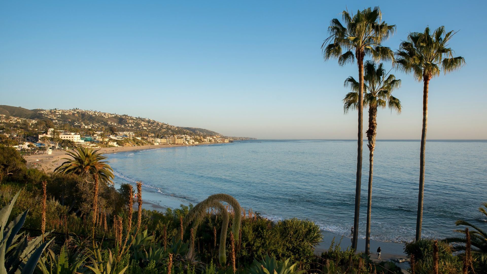 Cove with blue water and two palm trees