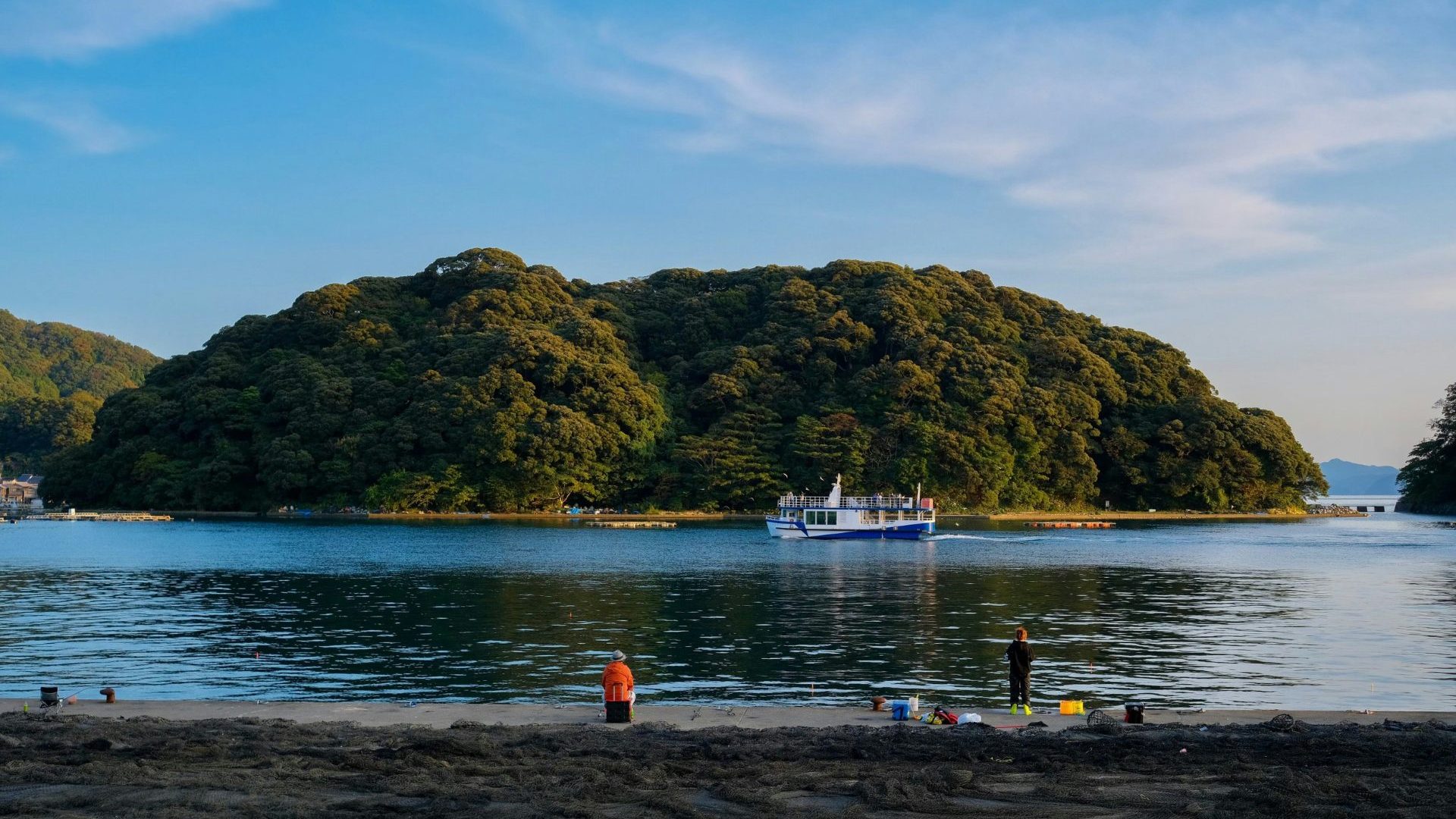 A boat sails past a green island.
