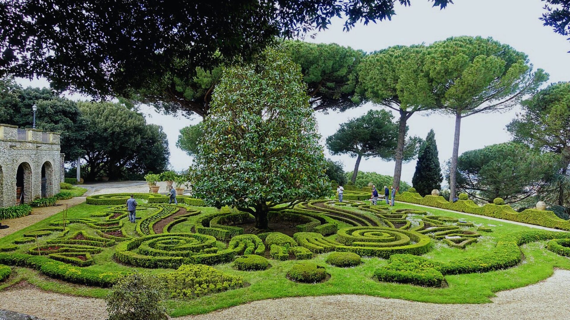 Green parterre garden with intricate hedging