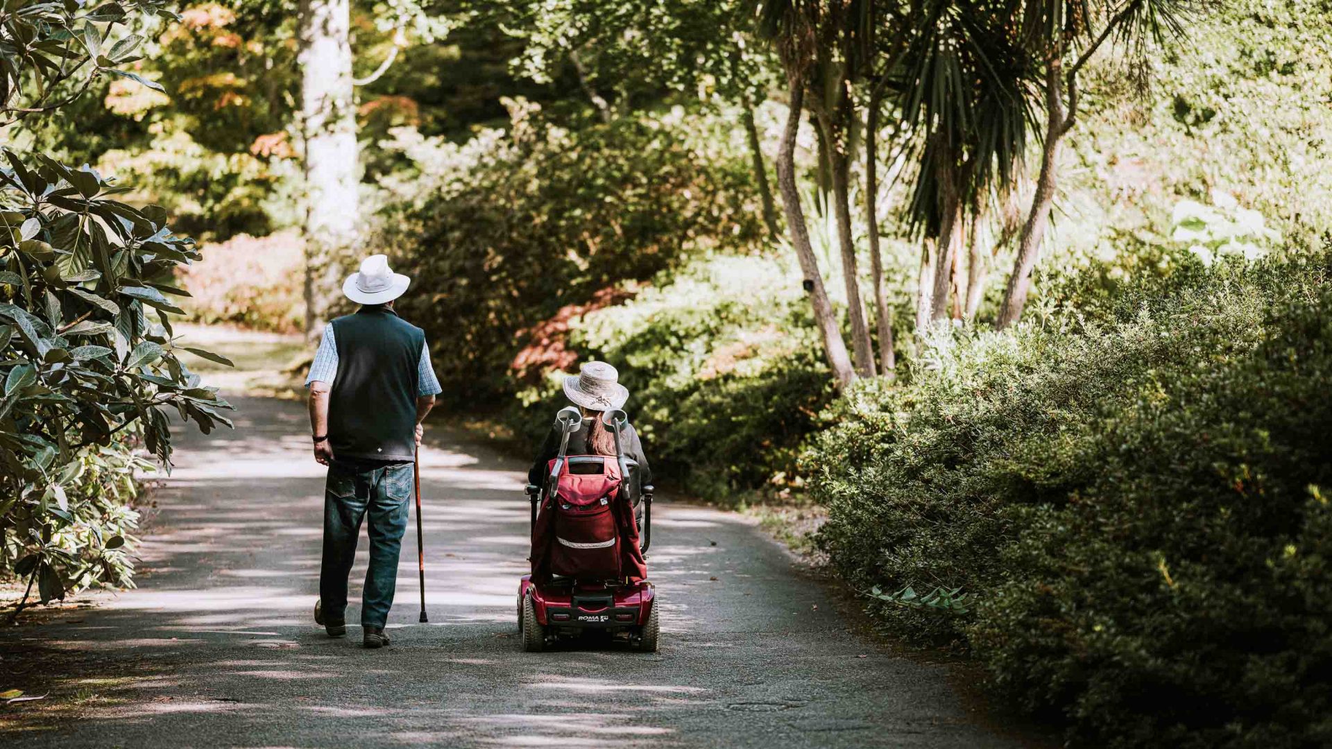 Two people go along a forested path. One is in a wheelchair, the other walks holding a cane. Both are wearing white hats and have their backs to the camera.