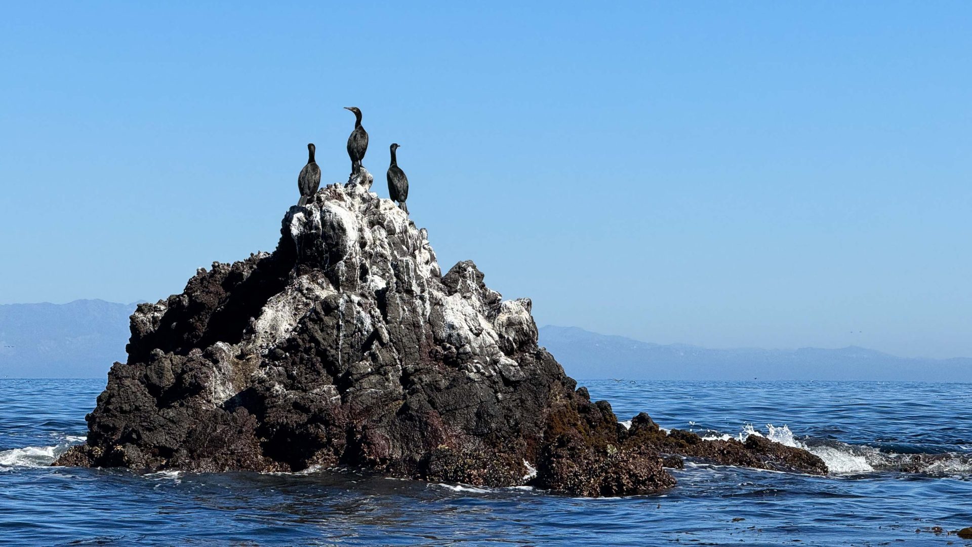 Birds sit on top of a rock in the ocean.