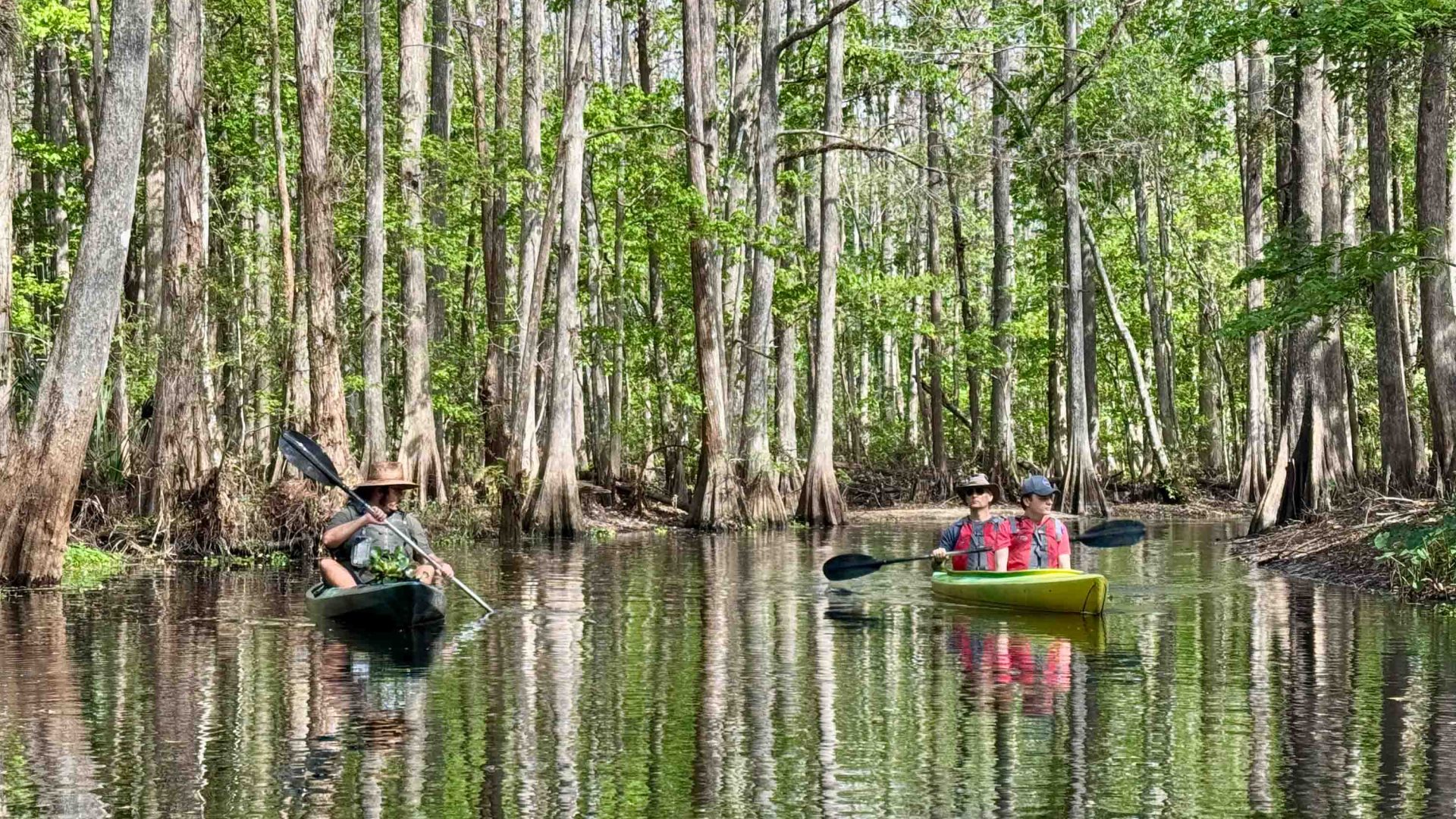 Two canoes move through trees and calm water.