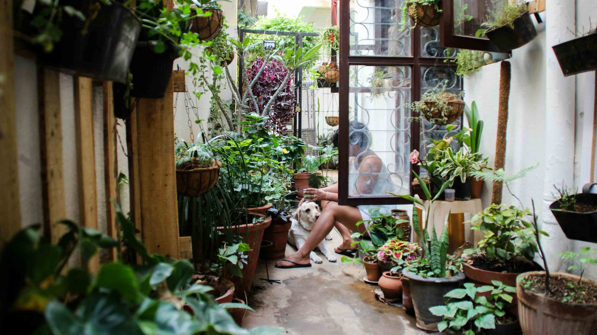 I was nature-starved, then I remembered I had a backyard