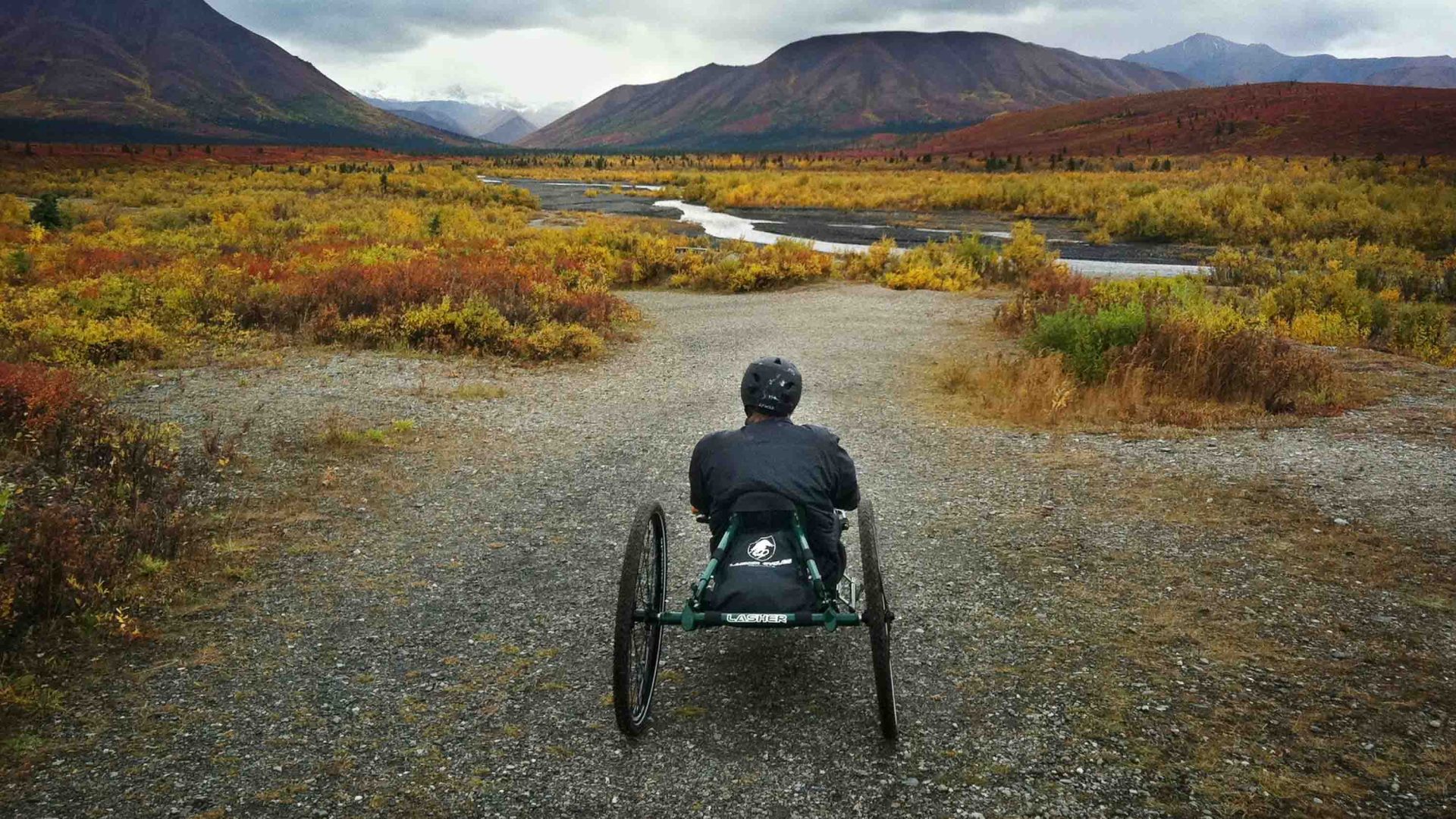 Meet the lawyer fighting to save the Arctic Refuge from President Trump