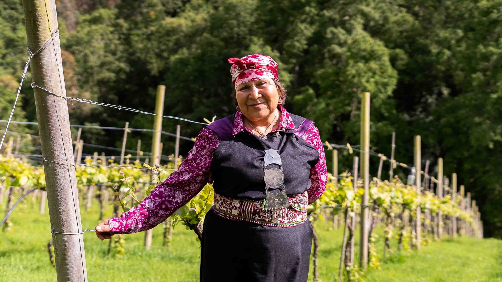 Chile’s largest Indigenous group defeated the Spanish—visiting them will change how you see the world