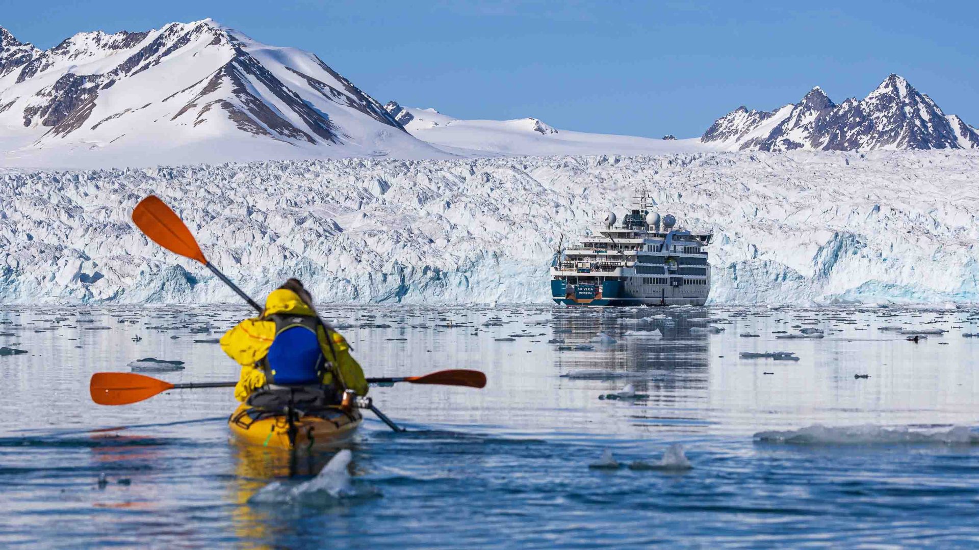 Norway’s strict new rules are changing Arctic cruising. What does that mean for polar bear sightings now?