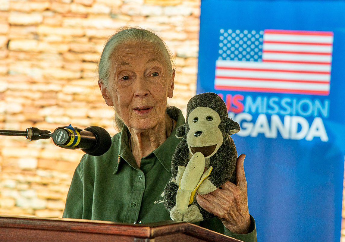 Jane Goodall, the gentle disrupter whose research on chimpanzees redefined what it meant to be human