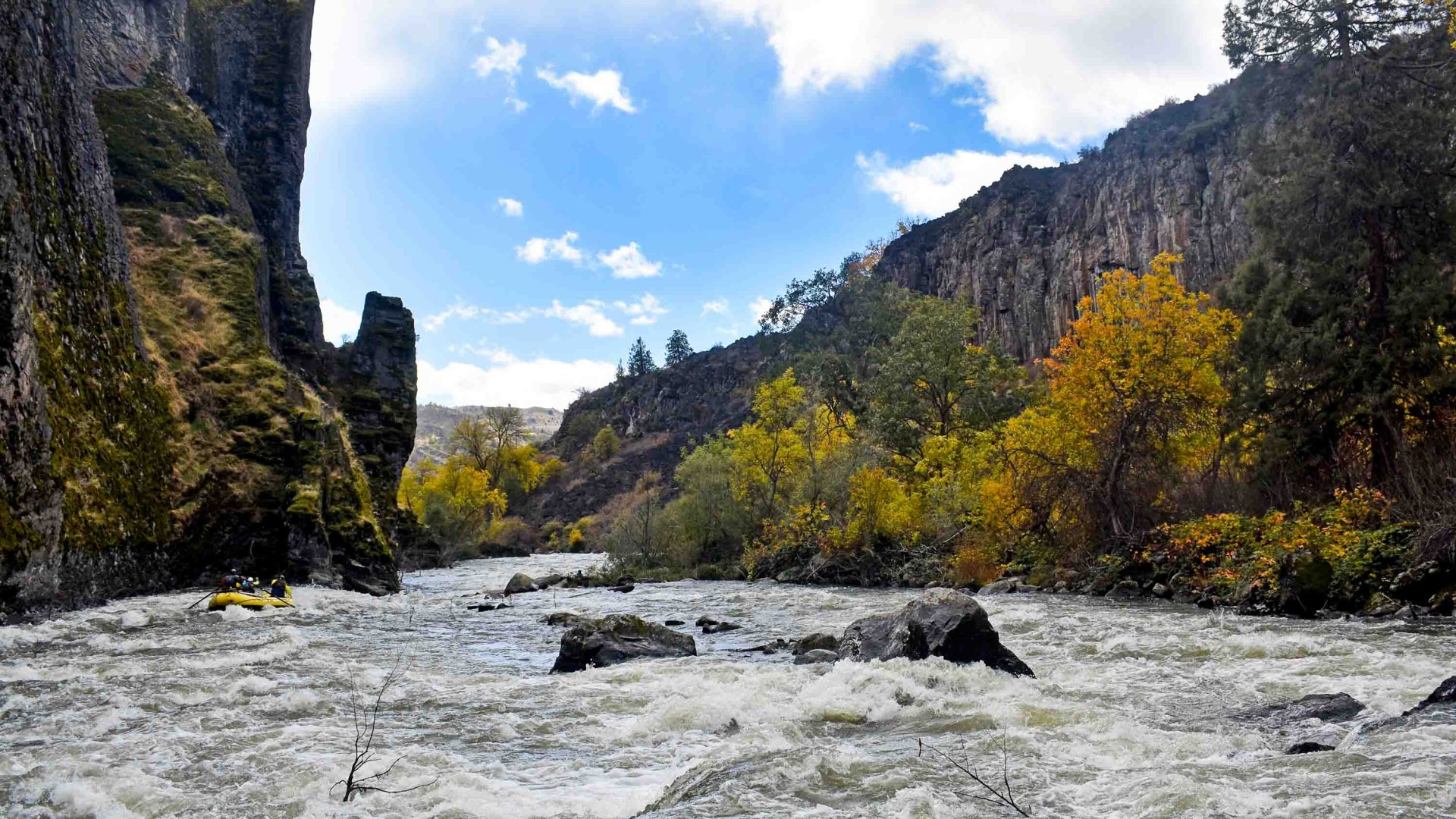 The last dams are gone, the salmon are back, and there’s rafting on this born-again Oregon river