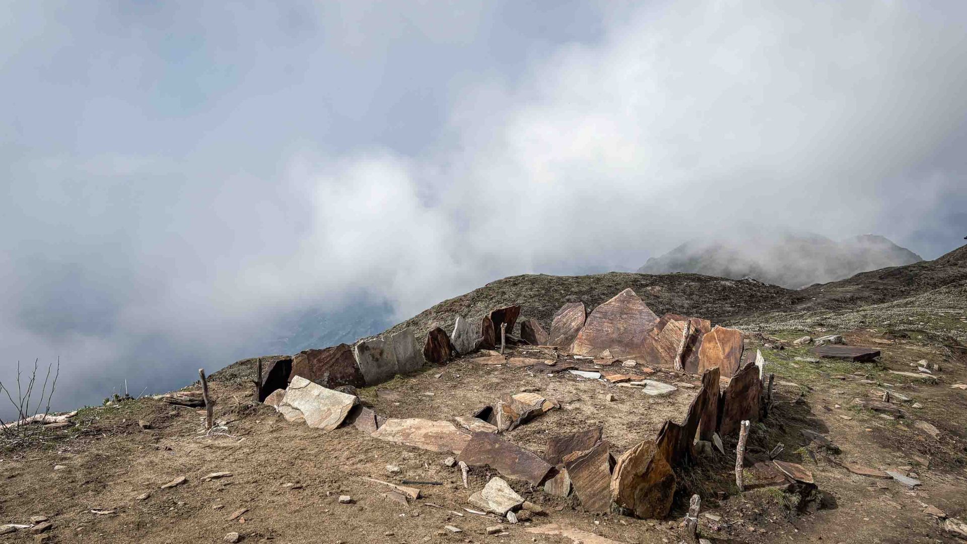Pieces of slate standing up in the ground.