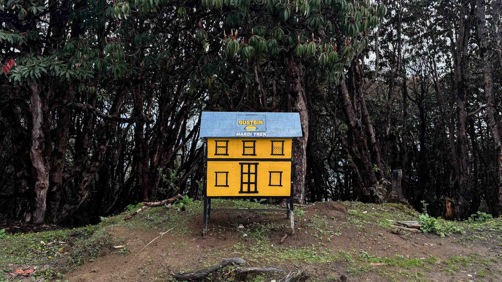 A small yellow garbage box.