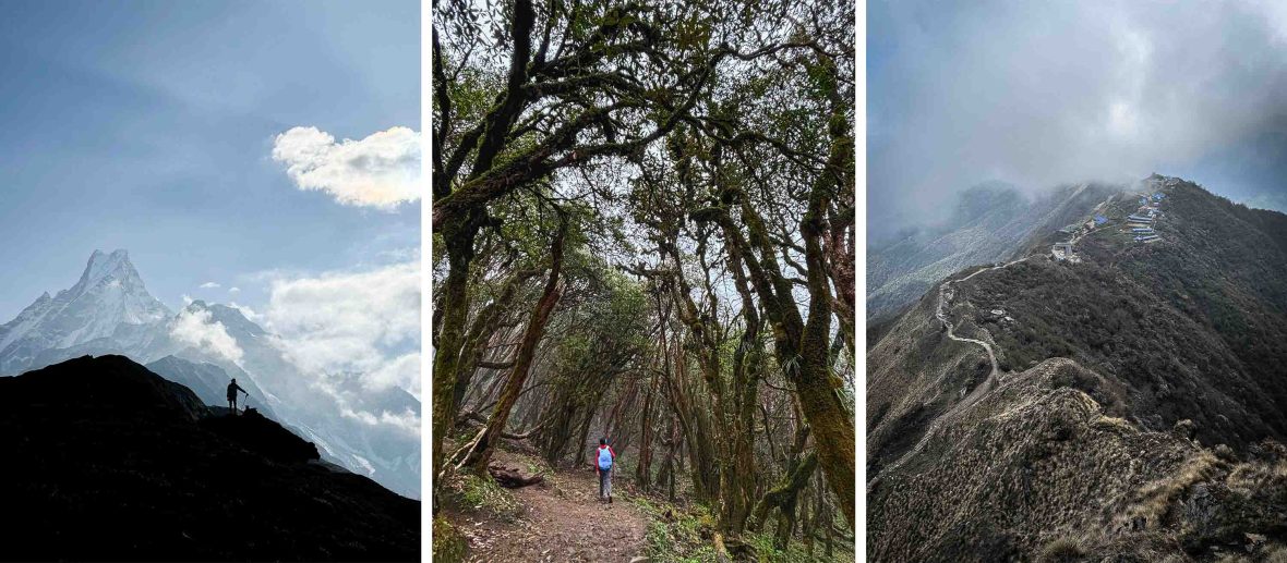 Left: The silhouette of a person looking at tall mountains. Middle: A person walks through tall forests. Right: A narrow trail winds along a mountain ridge.