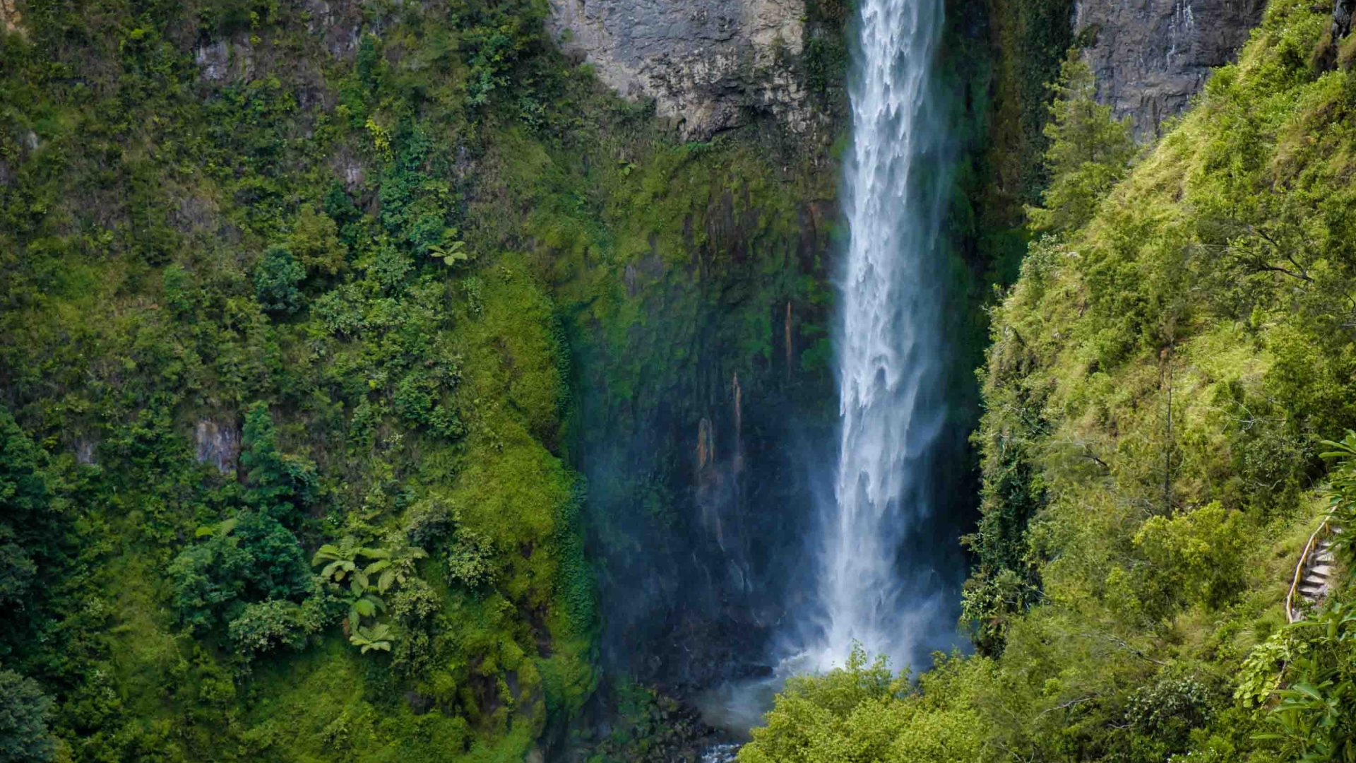 A waterfall drops into a pool, in amongst a forest setting.