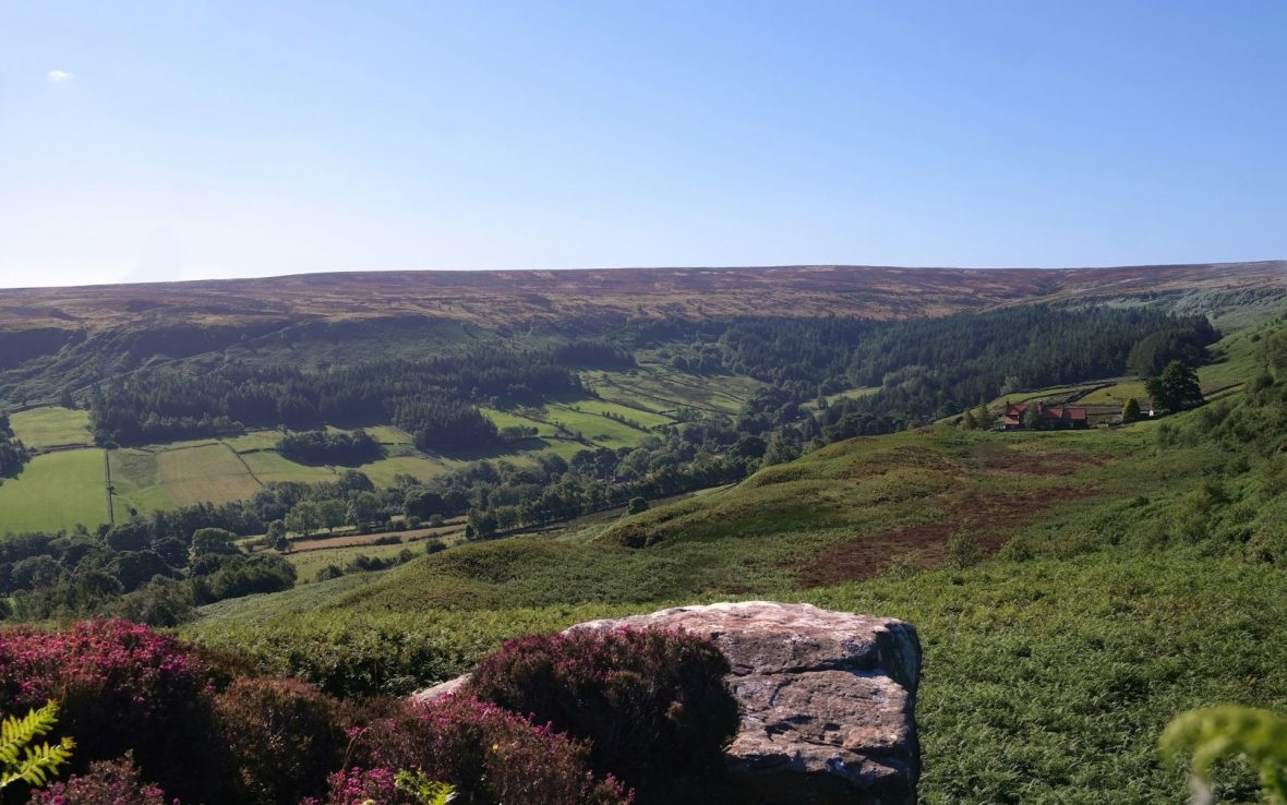 A panoramic view of green moorlands