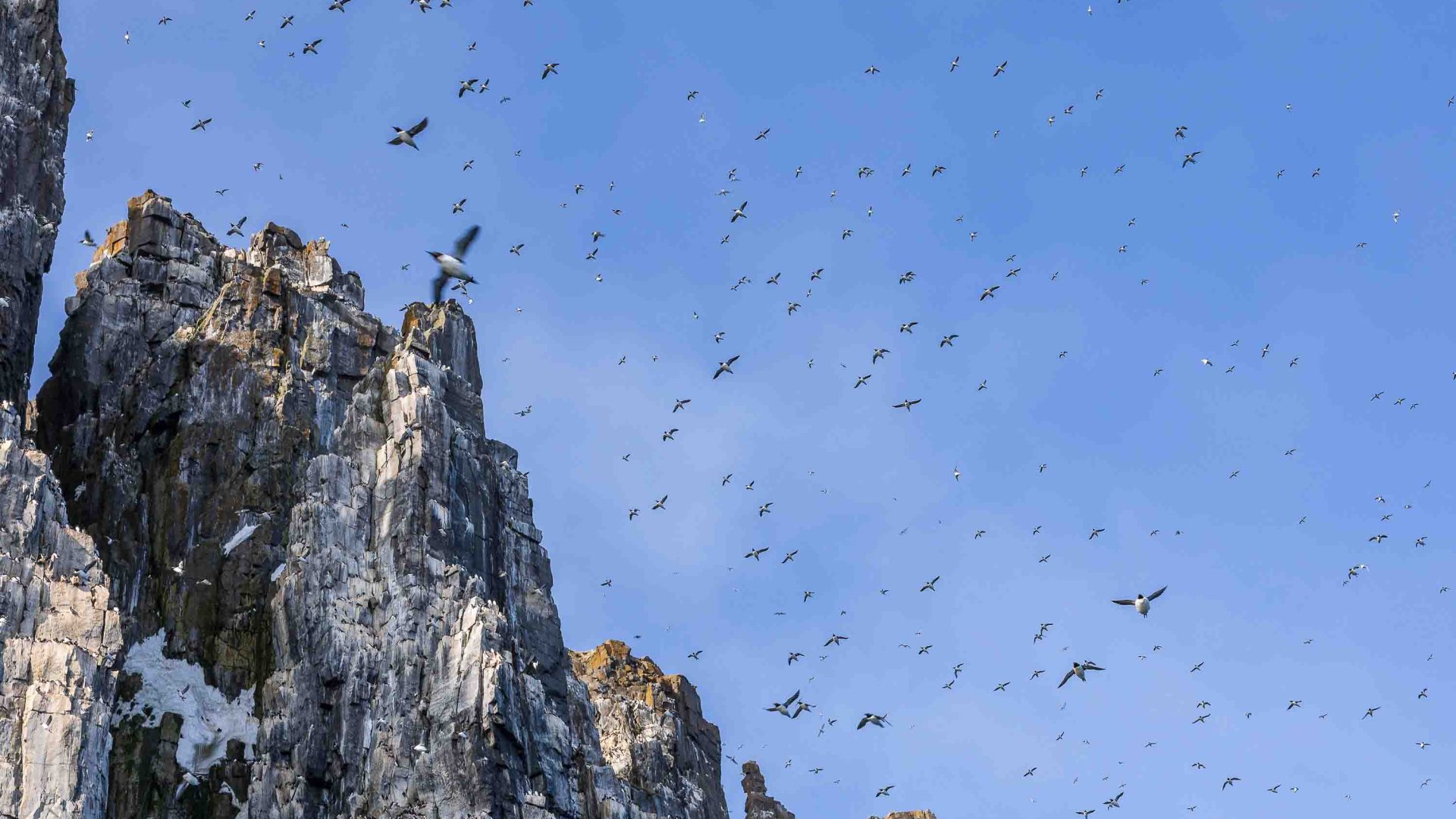 The sky is filled with birds who fly above rocky outcrops.