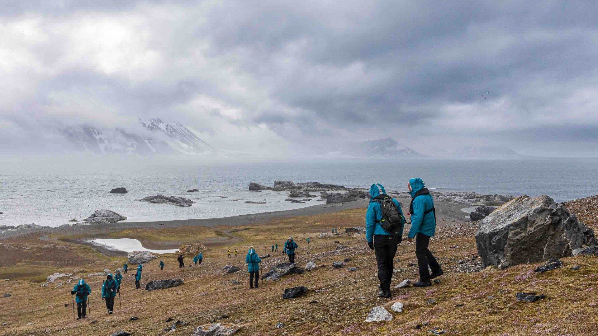 People in blue and black walk on a bare bound toward some icebergs.