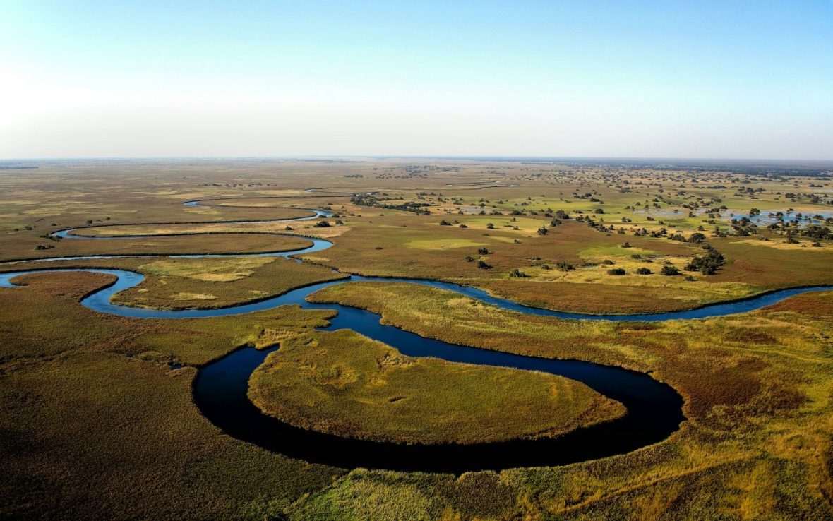 An aerial view showing snaking rivers in a lush green delta