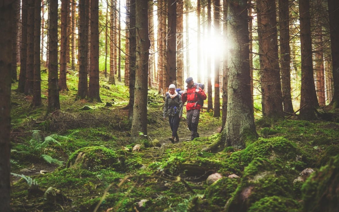 Two hikers walk through a forest in Sweden with a bright green, mossy floor.