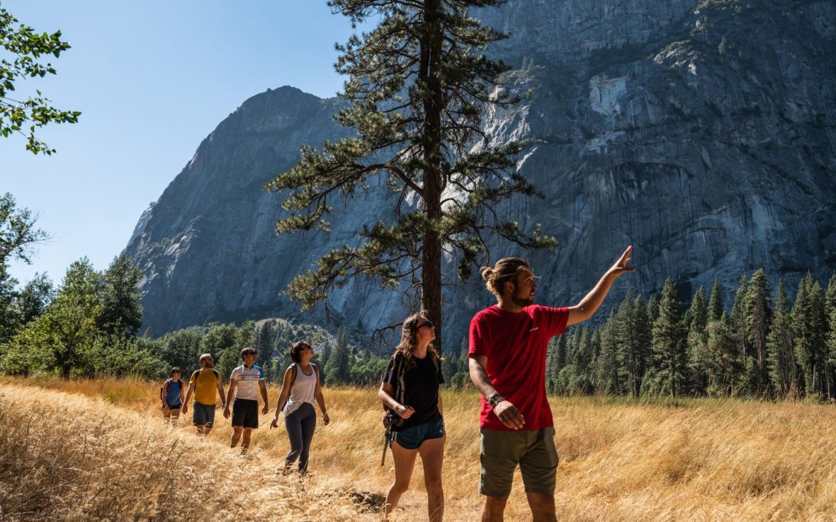 Man wearing red Intrepid shirt guides group of travelers through golden field