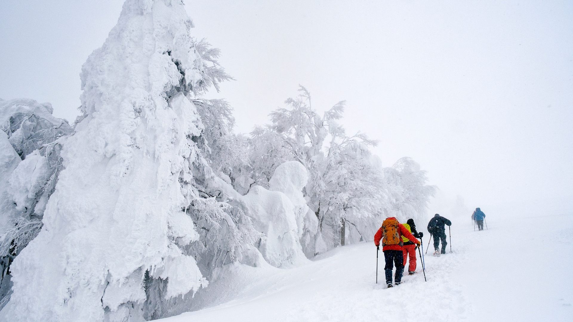 Don’t ski? Here’s how to snowshoe up mountains and slide into onsens in Tohoku, Japan