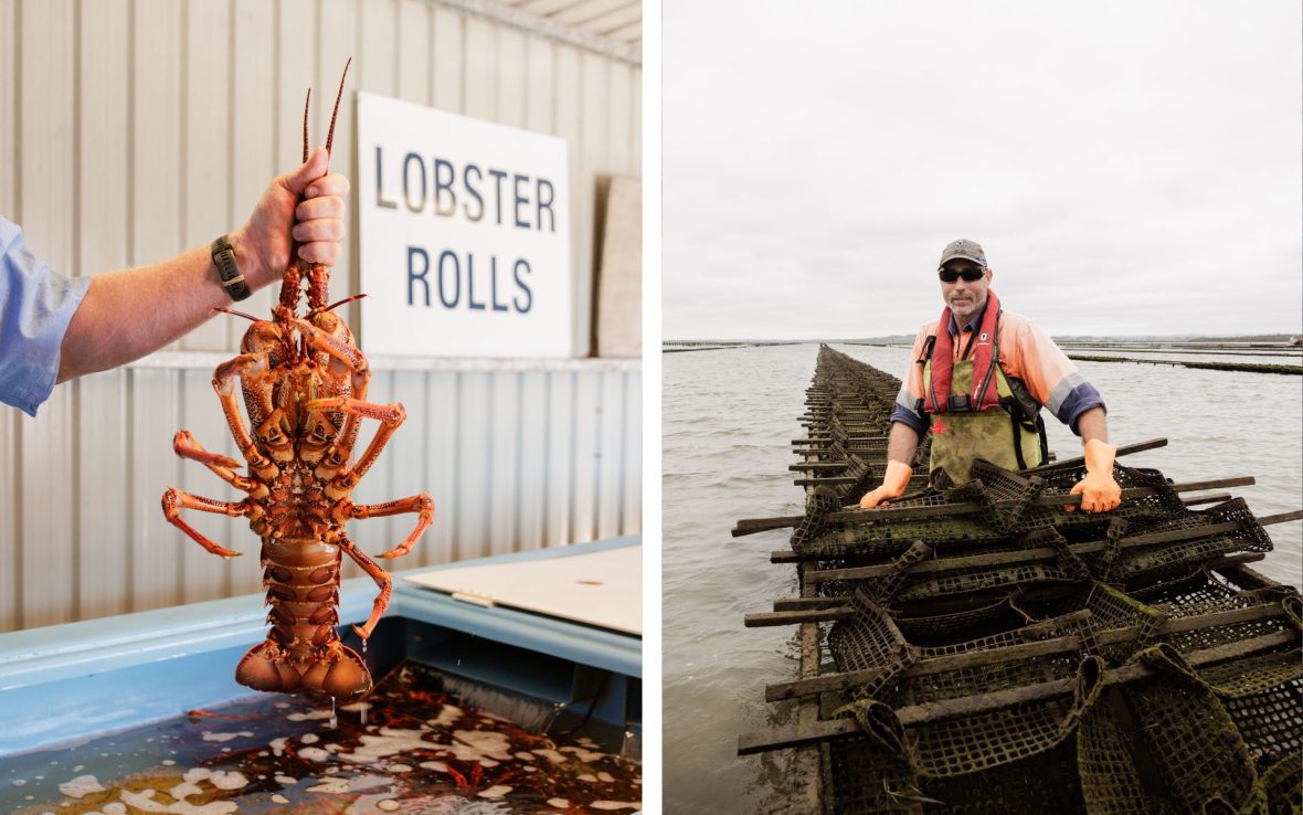 Left: A hand holds up a lobster above a tank and a sign reads 'Lobster rolls'; Right: A fisherman smiles to camera from the water