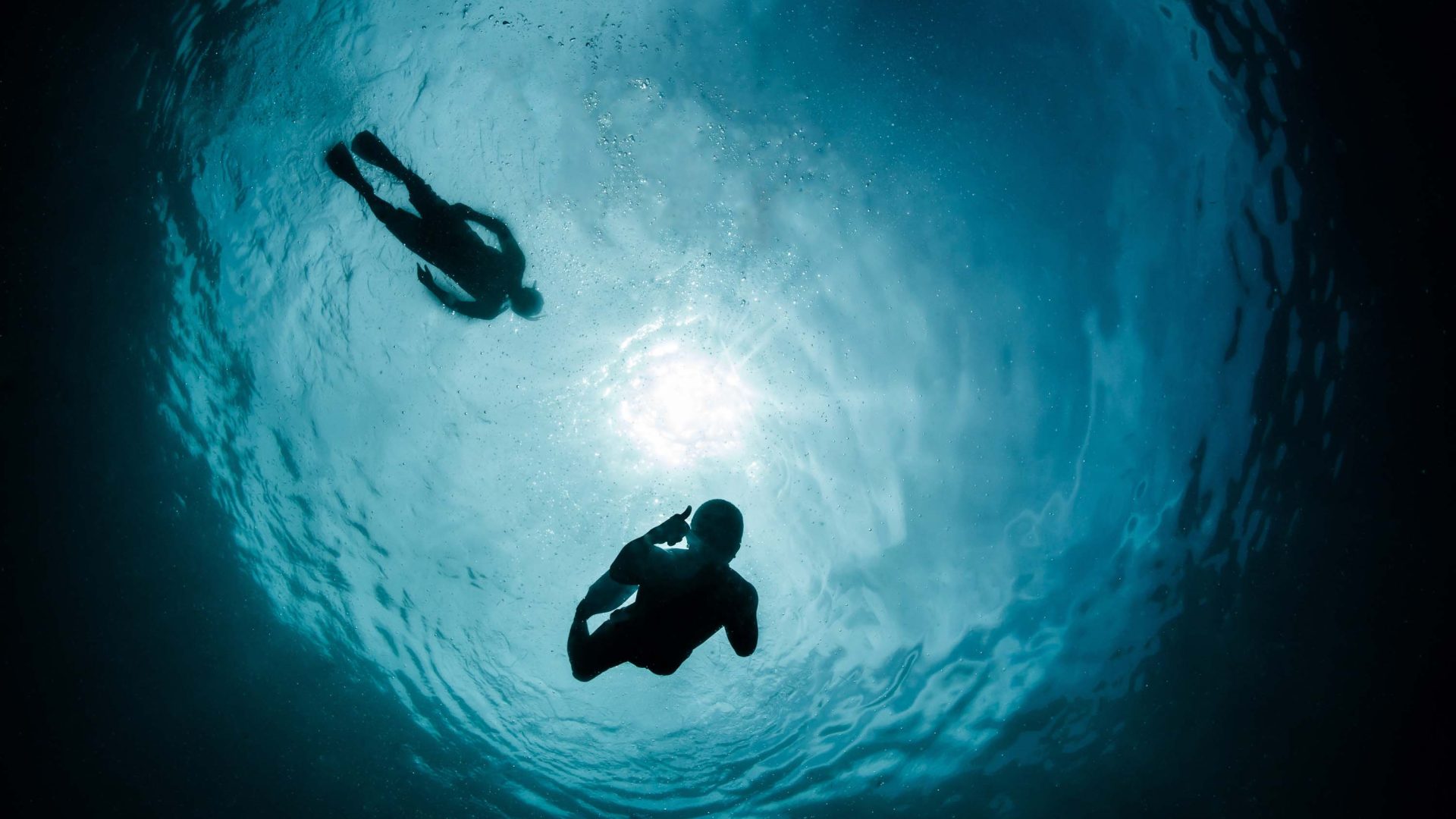 The silhouette of two people snorkelling.